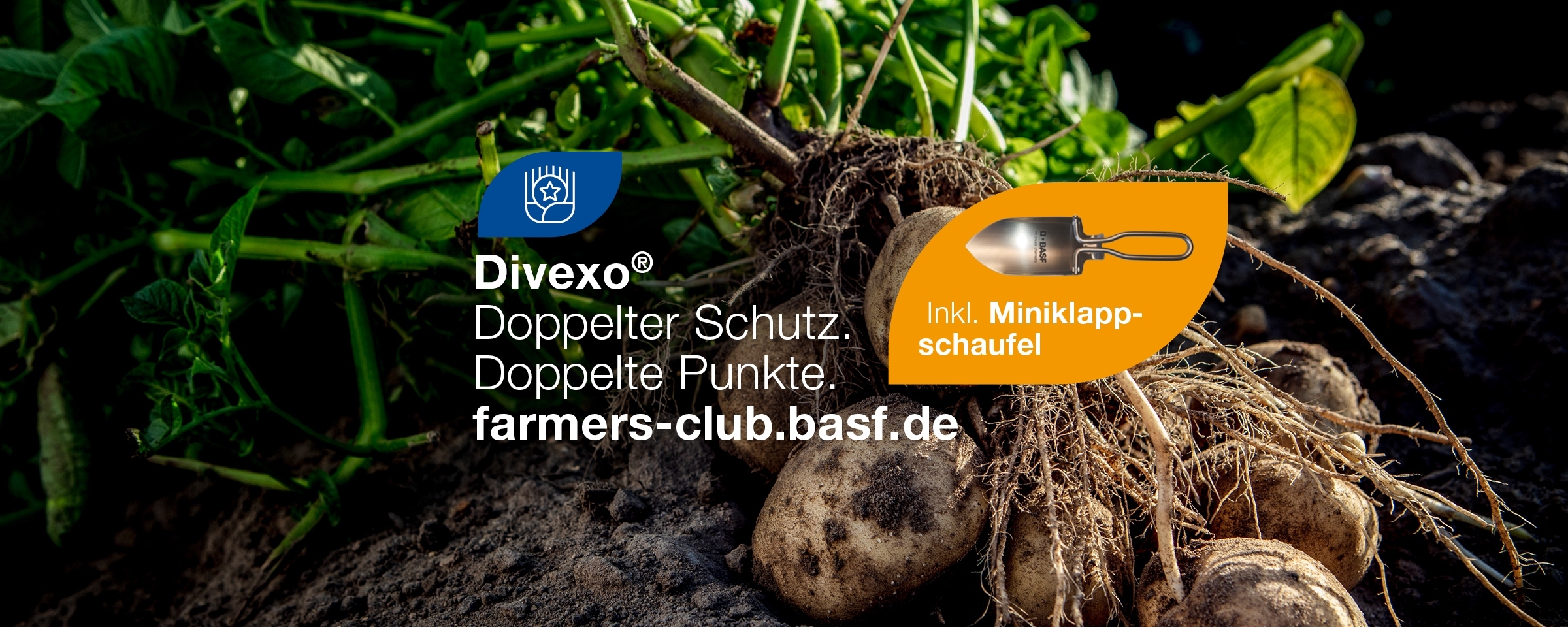 FC_Startseite_Header_2400x9_KXoZeQx.max-3840x2160.jpegquality-99